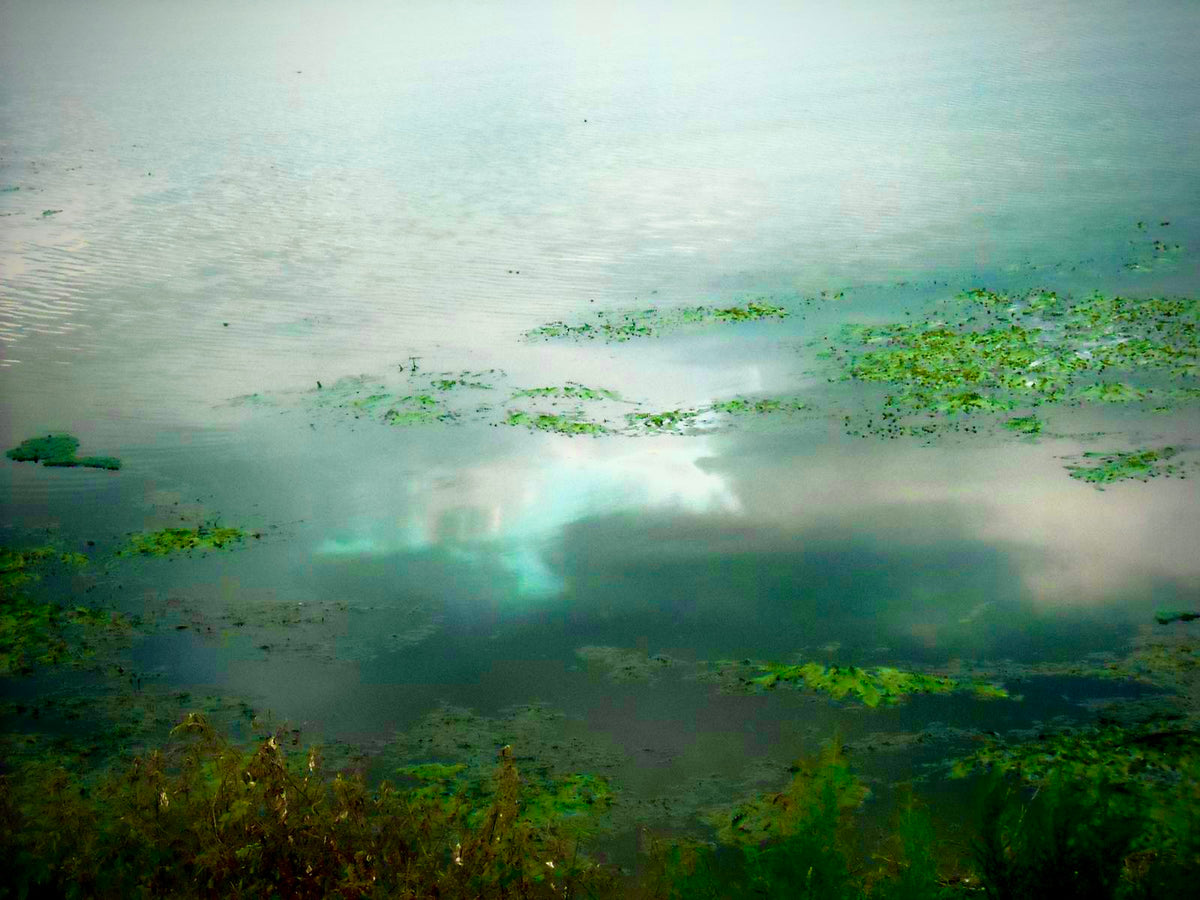 Misty dreams