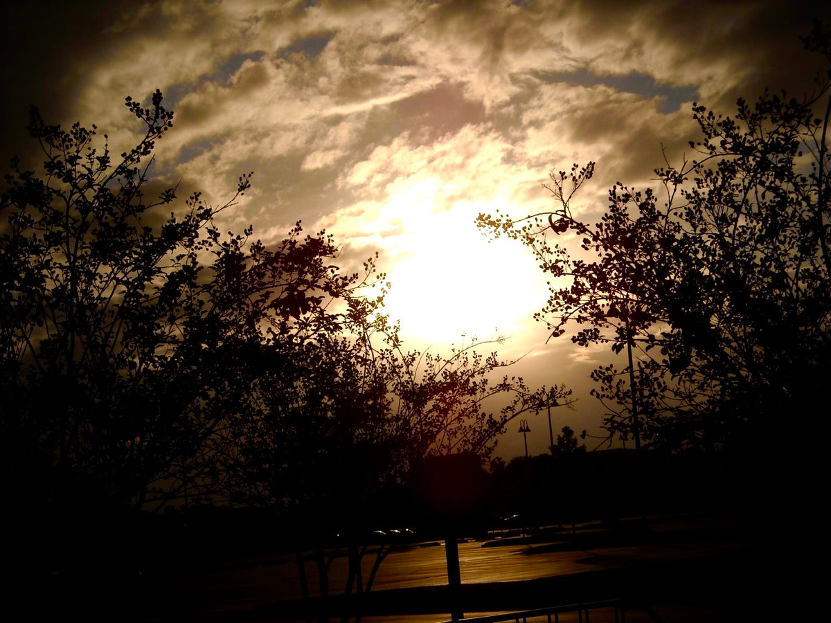 Golden light