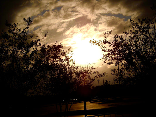 Golden light